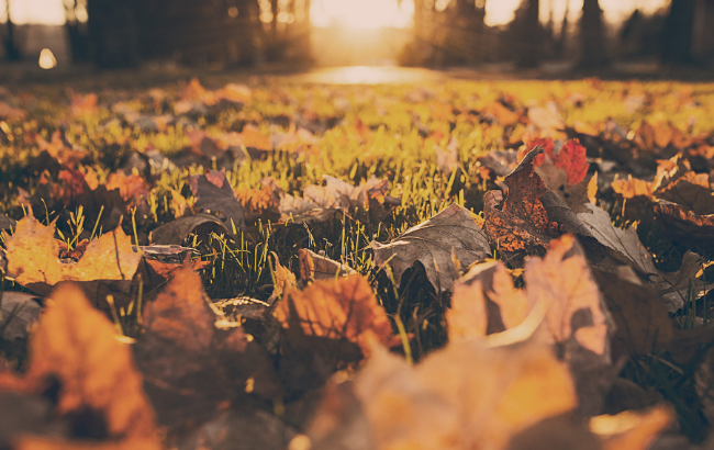 Теплая и солнечная, но есть нюанс: синоптик уточнила погоду на 1 октября